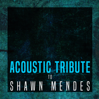 Act Like You Love Me - Guitar Tribute Players