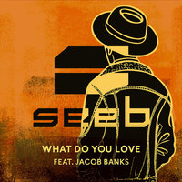 What Do You Love - Seeb & Jacob Banks