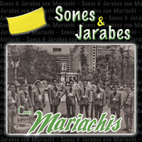 Jesusita en Chihuahua - Mariachi México & Mariachi Janitzio & Mariachi Mexico, Mariachi Janitzio