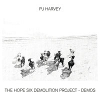 Near The Memorials To Vietnam And Lincoln - PJ Harvey