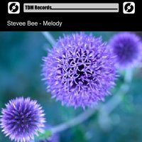 Cruzer Blade - Stevee Bee