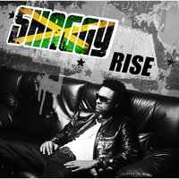Fly High 2012 - Shaggy