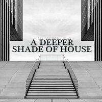 Mooged House - DISCO BAND