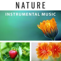 Water & Rain - Nature Sounds Relaxation: Music for Sleep, Meditation, Massage Therapy, Spa