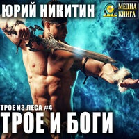 Юрий Никитин. «Трое и боги. Серия "Трое из леса". Книга #4». Часть 24 - Александр Чернов