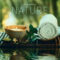 Tiny Waterfall - Relaxing Spa Oasis & Wellness Spa Music Oasis