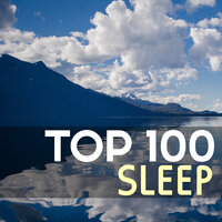 Oasis of Meditation - Deep Sleep Pillow
