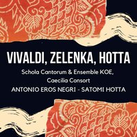 Concerto for 2 Oboes in D Minor, RV 535: III. Largo - Antonio Eros Negri & Andrea Mion & Caecilia Consort & Michele Favaro & Антонио Вивальди