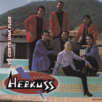 Yo Corte Una Flor - Grupo Herkuss