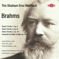Piano Trio No. 3 in C Minor, Op. 101: II. Presto non assai - Hagai Shaham & Arnon Erez & Raphael Wallfisch & Иоганнес Брамс