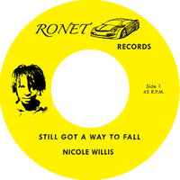 Still Got a Way to Fall - Nicole Willis