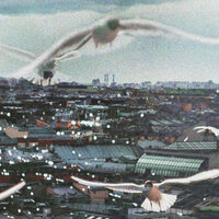 2 - Кот Балу
