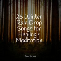 Raindrop Shower - Baby Lullabies Music & Música de la Naturaleza & Nature Sounds Radio