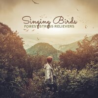 Wings - Life Harmony Masters