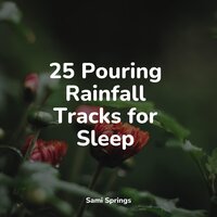 River, Close, Birds, Forest - Nature Soundscape & Lluvia & Classical Study Music