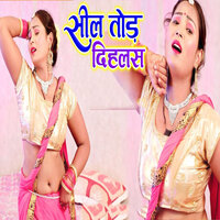 Sil Tod Dihalas - Puja Singh & Pintu Halchal