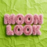 moonlook.17