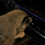 ruslanovich_0.14.kzt