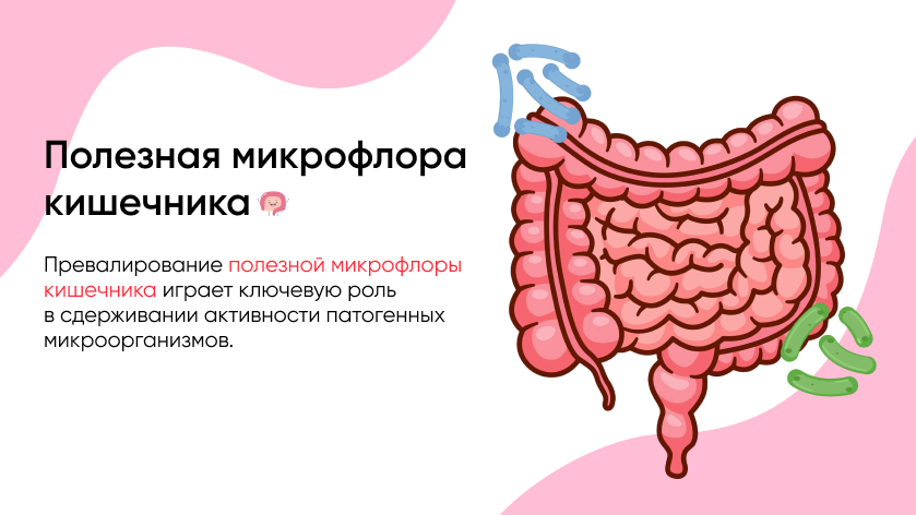 баннер 3.png баннер 3.png