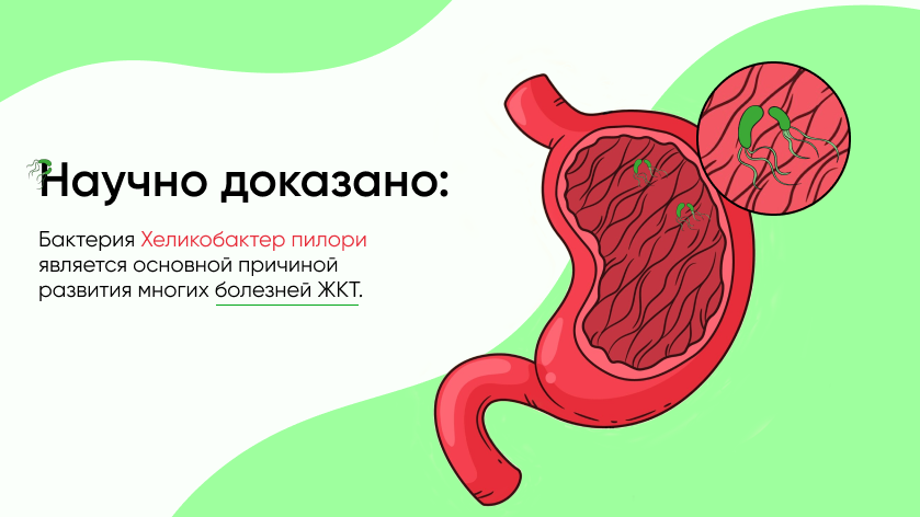 баннер 1.png баннер 1.png