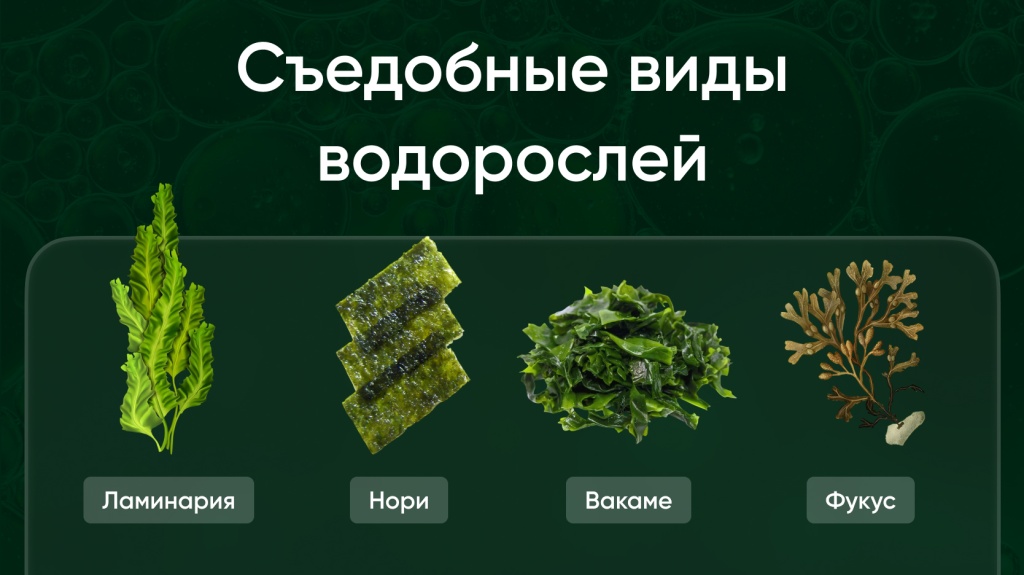 Хлорелла главный тренд 6.jpg Хлорелла главный тренд 6.jpg