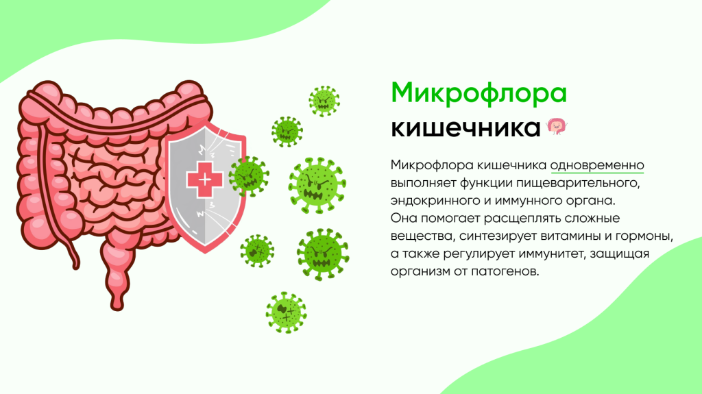 Баннер3.png Баннер3.png