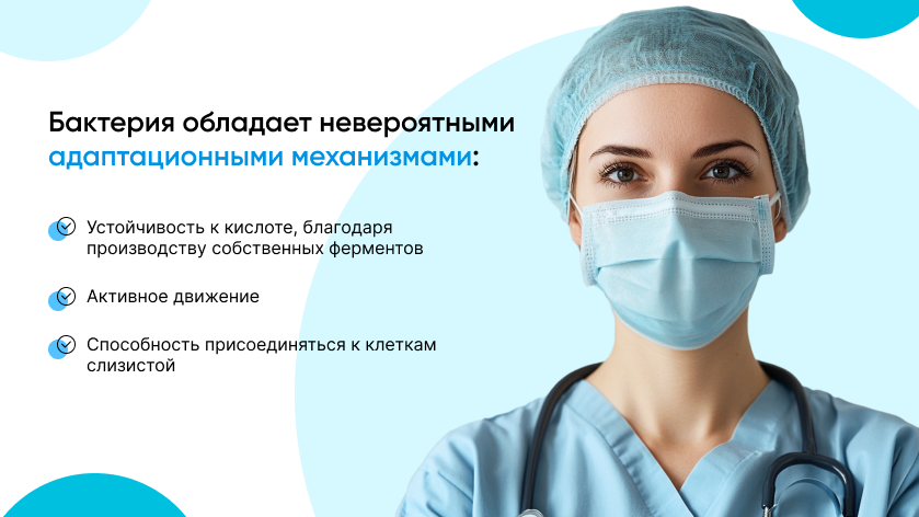 баннер 2.png баннер 2.png