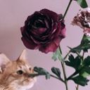 nastyabook57