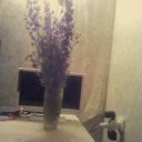 Liza3311447700