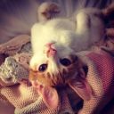 Masha_Matveewixvi