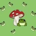 frogf_29