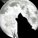 Darly_Wolfen
