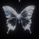 __AVL__