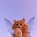 Oblako_S_V