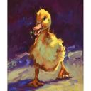 Duck009t
