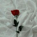 lill_lu