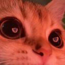 kissmeoll