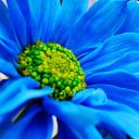 tatan_87