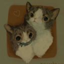 artist_zipZip
