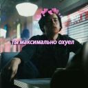 girlDashaVolk