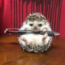 YakogoChorta