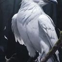 WhiteCrowow
