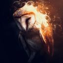 Passiffica