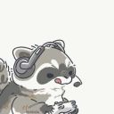 Raccoonpolosun