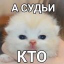 rainbow_jabka