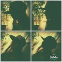 Lalalallolo