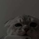 Romashka_3970