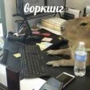 Lustra_blyat