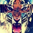_dayanka_