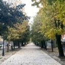 v_vintovkin